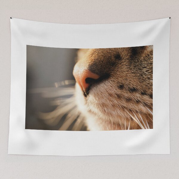 Item preview, Cat nose cute nose of a young cat designed and sold by ToniStauche.