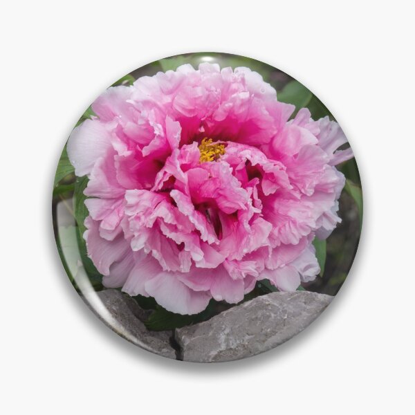 Item preview, Peony on the Rocks - the Marvels of Spring designed and sold by Georgia Mizuleva.