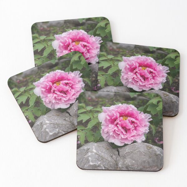 Item preview, Peony on the Rocks - the Marvels of Spring designed and sold by Georgia Mizuleva.