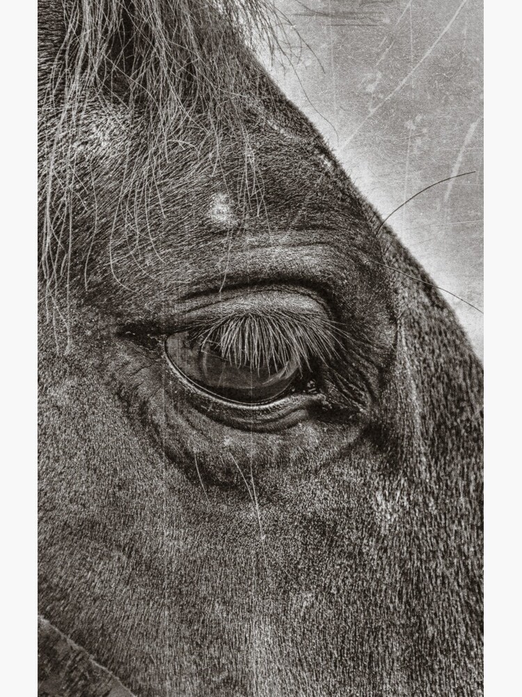 Thumbnail 4 of 4, Samsung Galaxy Phone Case, mockART - Country Songs designed and sold by mockART.