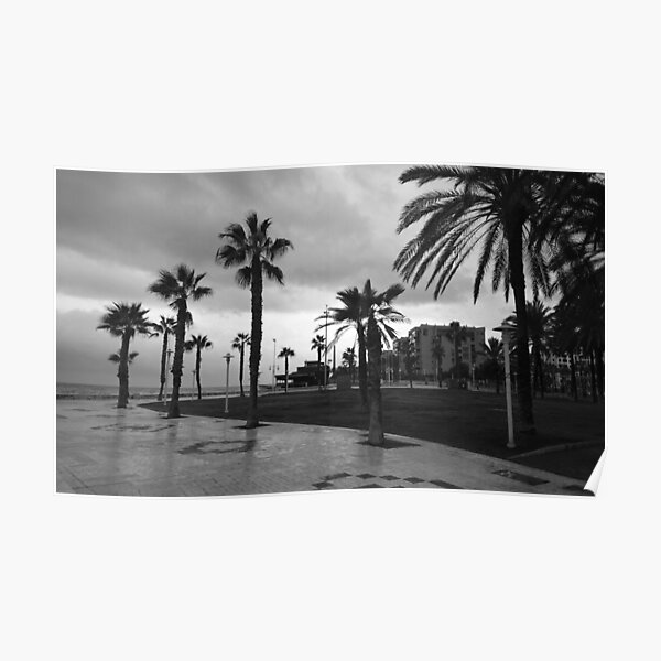 Palm tree seafront, stormy day, Malaga (monochrome) Poster