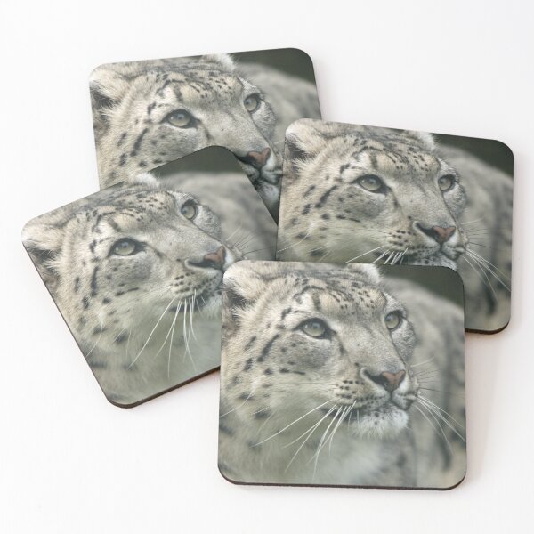 Item preview, Leila designed and sold by Hann Regan  Photography.