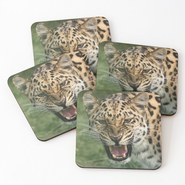 Item preview, Xizi designed and sold by Hann Regan  Photography.