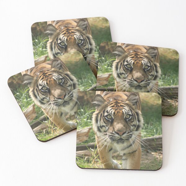 Item preview, Puna designed and sold by Hann Regan  Photography.