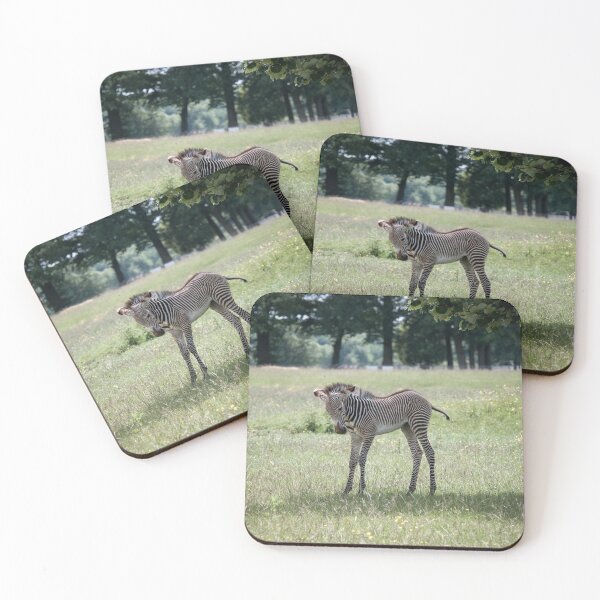 Item preview, Zebra Foal Photography  designed and sold by NatashaBalletta.