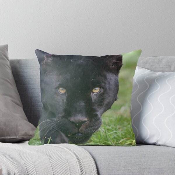 Item preview, Athena designed and sold by Hann Regan  Photography.