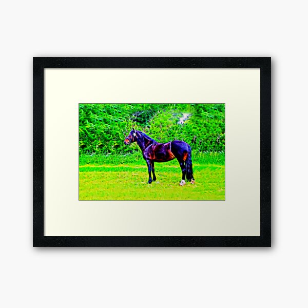 Black Beauty Framed Art Print