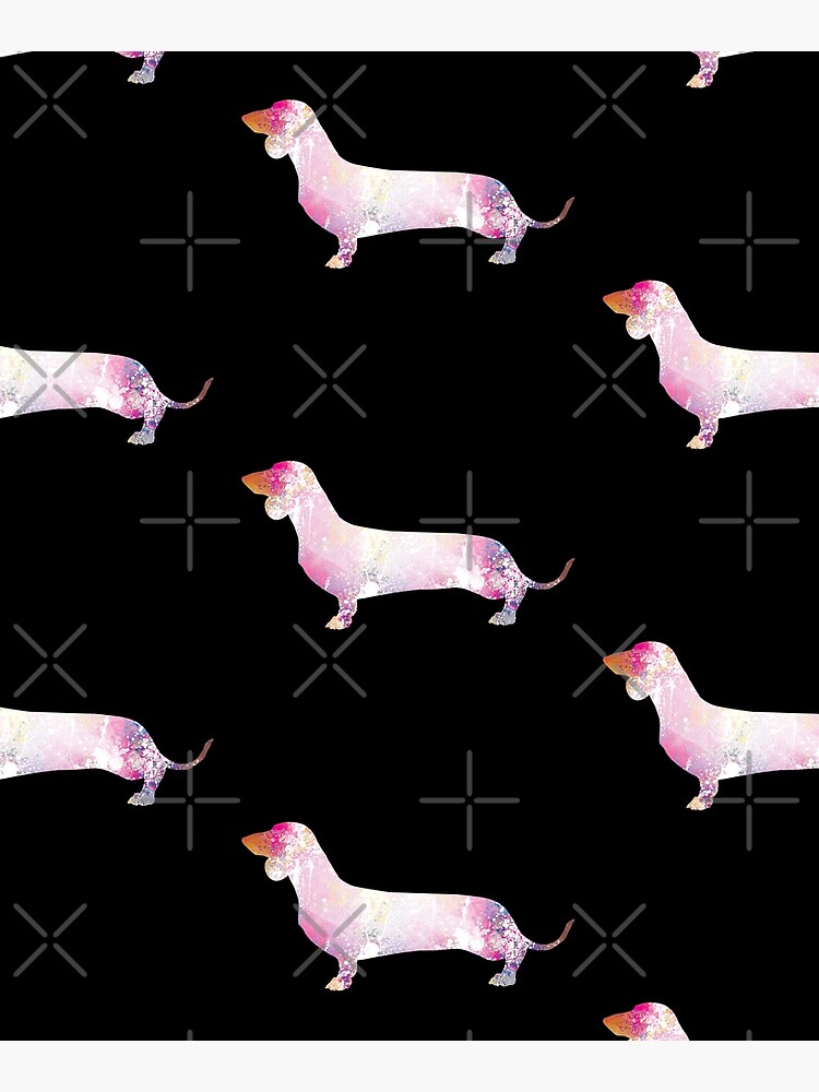 Paint Splash Dachshund by tribbledesign