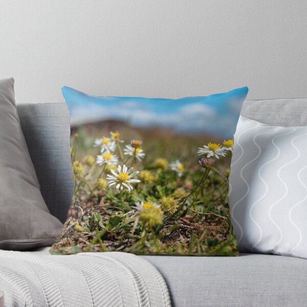 Item preview, Pushing up Daisies designed and sold by Carole Pallier.