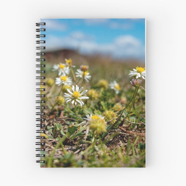 Item preview, Pushing up Daisies designed and sold by Carole Pallier.