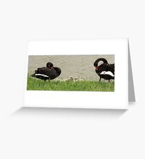 "Between the two of us ... Greeting Card