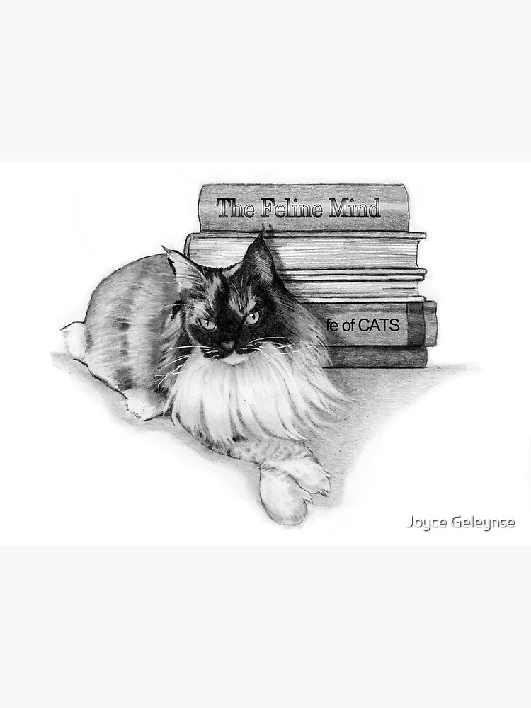 Cute Little Girl Standing on Stack of Books Pencil Drawing Art Board Print  for Sale by Joyce Geleynse