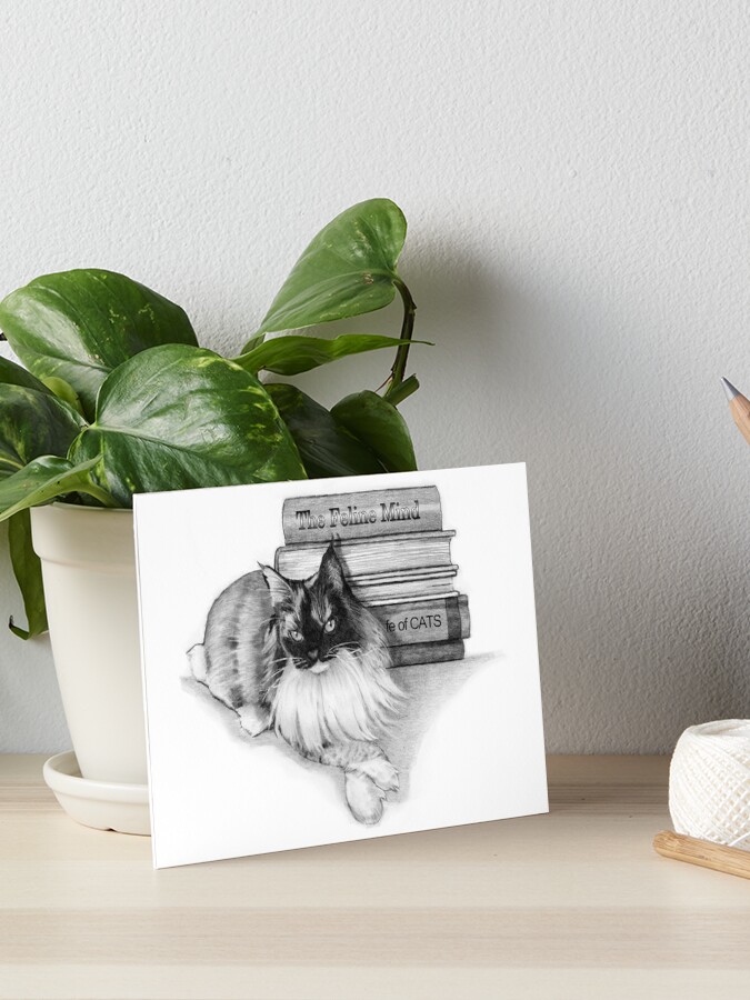 Cat pencil drawing  Art Board Print for Sale by Pencil-Art