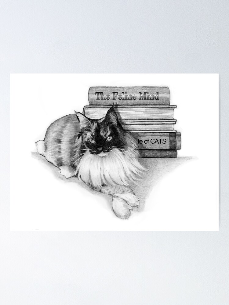 Poster Chat Maine Coon Couche Par Une Pile De Livres Dessin Au Crayon Art Du Realisme Par Joyce Redbubble