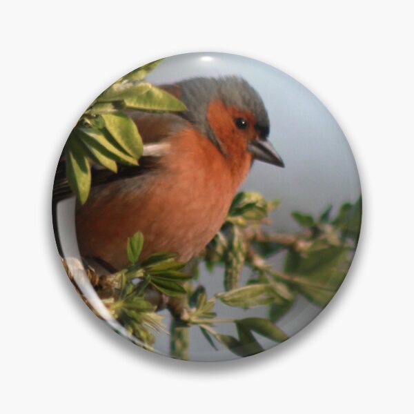 Item preview, Bullfinch designed and sold by CallyM.