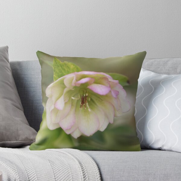 Item preview, hellebore designed and sold by CallyM.