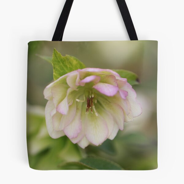Item preview, hellebore designed and sold by CallyM.