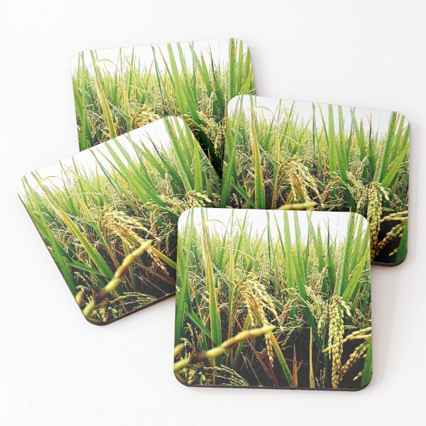 Item preview, Paddy Plant designed and sold by Rav33822.
