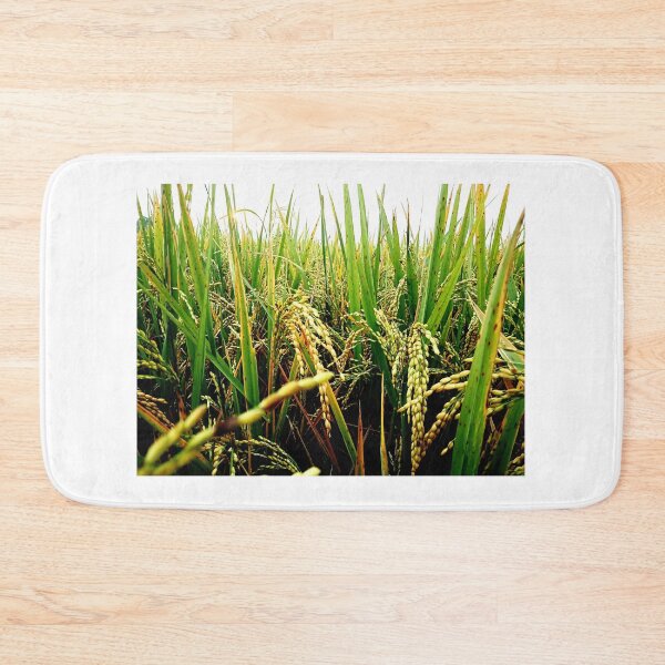 Item preview, Paddy Plant designed and sold by Rav33822.