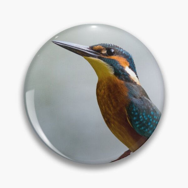 Item preview, Common kingfisher designed and sold by Warkazat.