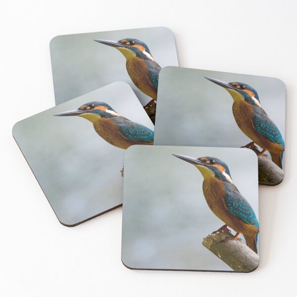 Item preview, Common kingfisher designed and sold by Warkazat.