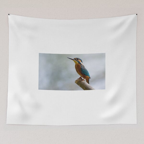 Item preview, Common kingfisher designed and sold by Warkazat.