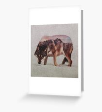 Wolf Greeting Card