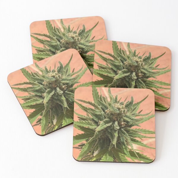 Item preview, natural fresh special cannabis designed and sold by Marhewa.