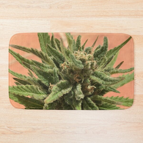 Aperçu de l'œuvre cannabis spécial frais naturel créée et vendue par Marhewa.