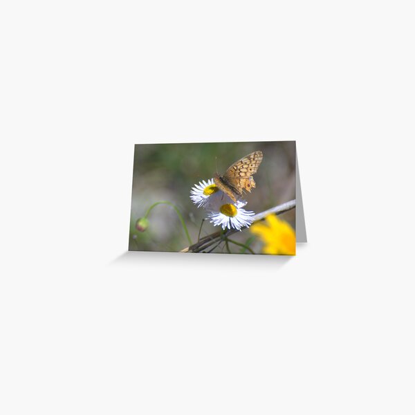 Spring in Texas Greeting Card