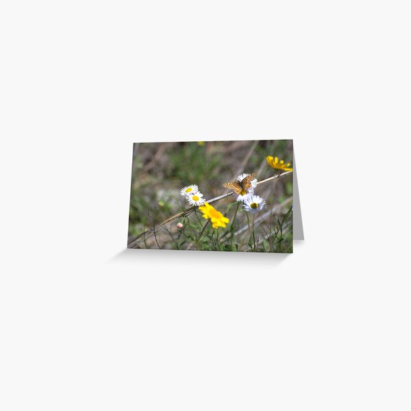 Texas Spring Color Greeting Card