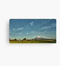 Mt Taranaki from Farmland Canvas Print