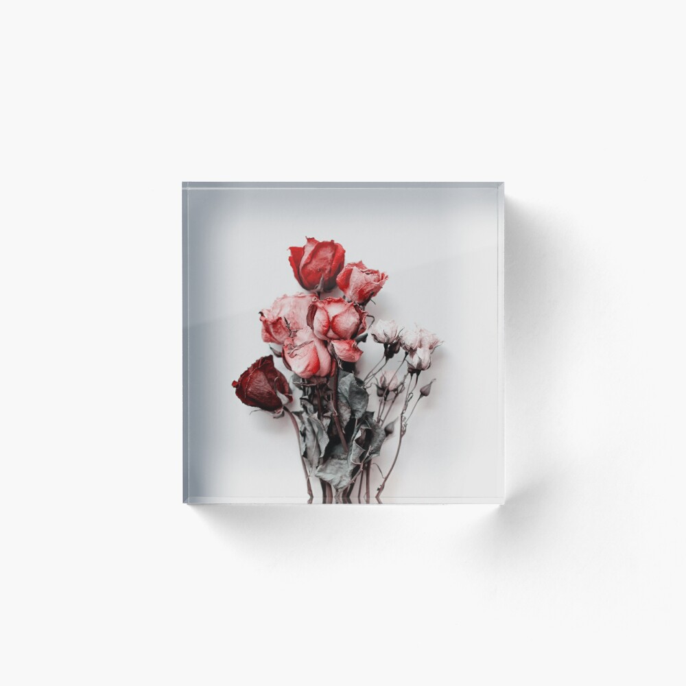 Dried Floral Bouquet on Light Background - Pink Minimal Aesthetics  Greeting Card for Sale by kaespo