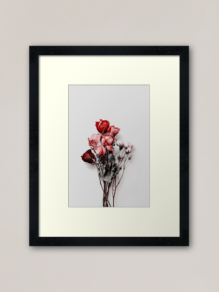 Dried Floral Bouquet on Light Background - Pink Minimal Aesthetics  Greeting Card for Sale by kaespo