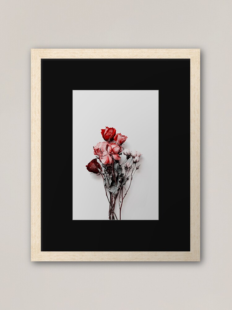 Dried Floral Bouquet on Light Background - Pink Minimal Aesthetics  Postcard for Sale by kaespo