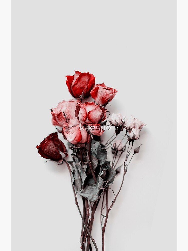 Dried Floral Bouquet on Light Background - Pink Minimal Aesthetics  Greeting Card for Sale by kaespo