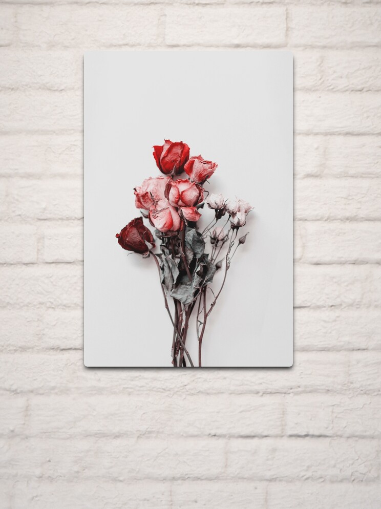 Dried Floral Bouquet on Light Background Pink Minimal Aesthetics