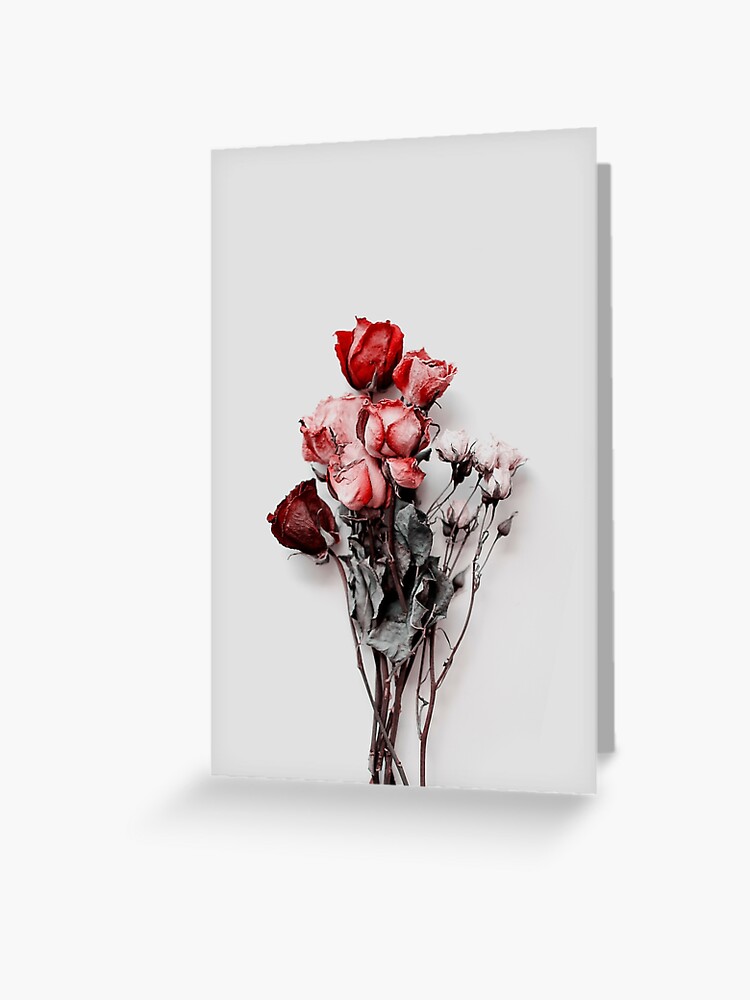 Dried Floral Bouquet on Light Background - Pink Minimal Aesthetics  Greeting Card for Sale by kaespo