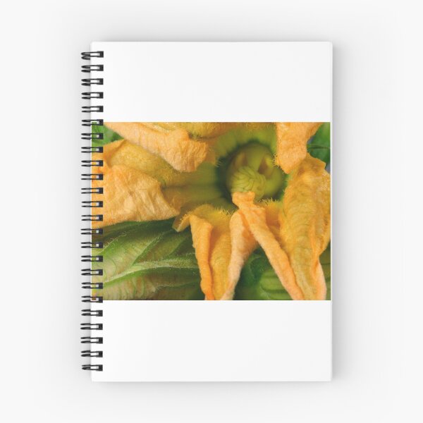 Item preview, Fleurs pour Food Still  designed and sold by SmoothBreeze7 | Liz Collet Photography.