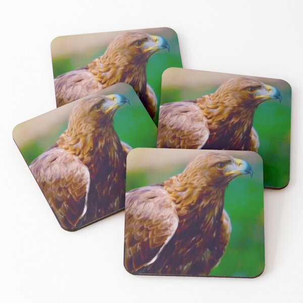 Item preview, Beautiful falcon sitting on a tree designed and sold by Bruno Beach.