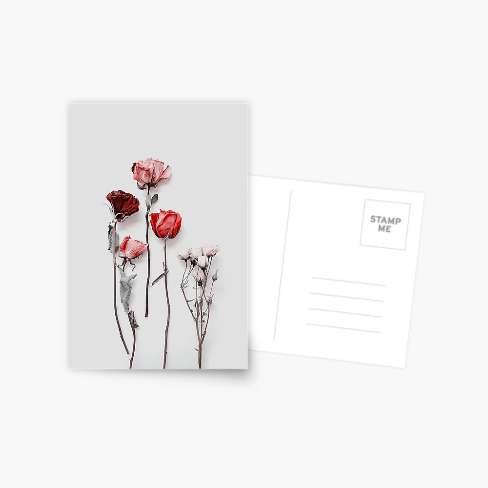 Dried Floral Bouquet on Light Background - Pink Minimal Aesthetics Poster  for Sale by kaespo