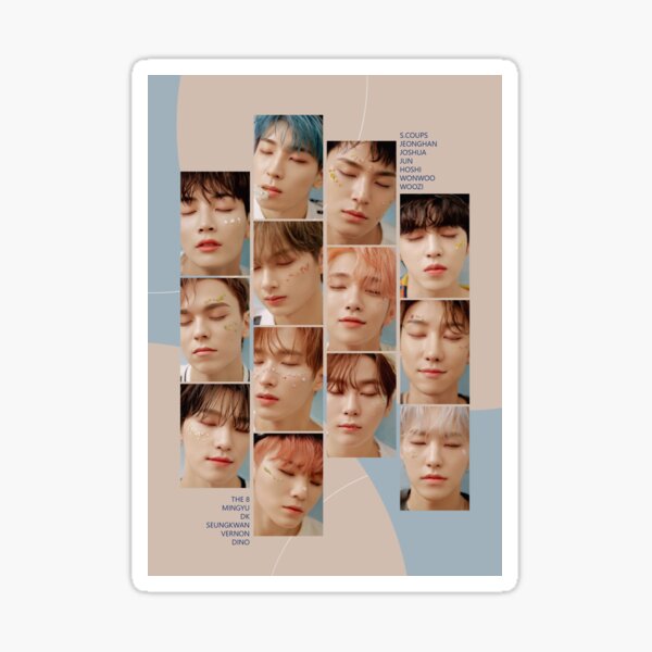 Seventeen - Fallin' Flower Pegatina