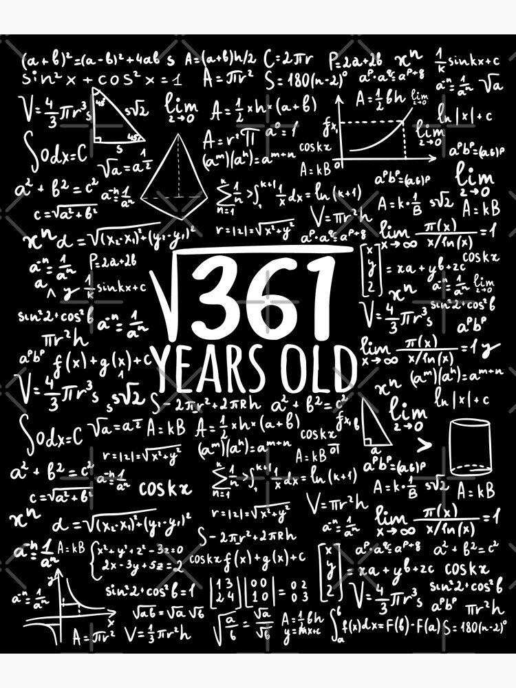 Square Root Of 361 19th Birthday 19 Year Old Gifts Math Bday T Shirt Greeting Card By Cookiesdesigns Redbubble