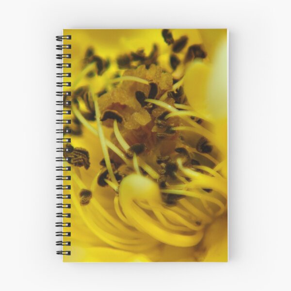 Item preview, Pollen #2 designed and sold by photorealm.