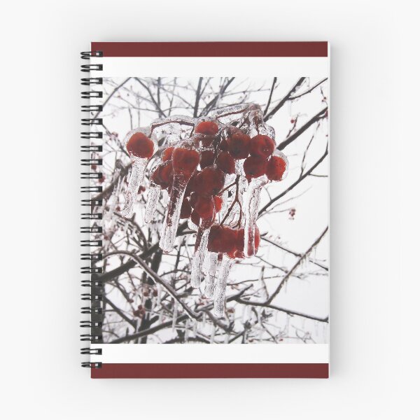Item preview, Ice Covered Berries, Nature Photography by Courtney Hatcher designed and sold by cghatcherart.