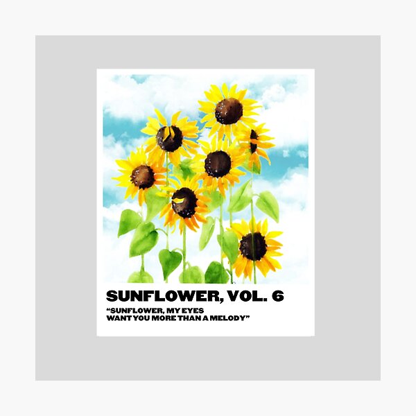 Sonnenblume Fotodruck