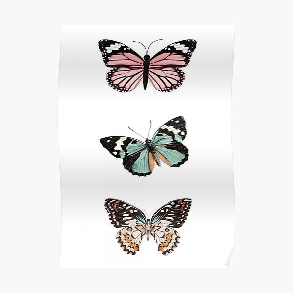 butterflies 2 Poster