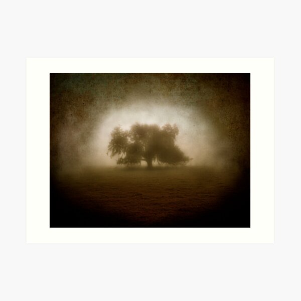 Solitude Art Print