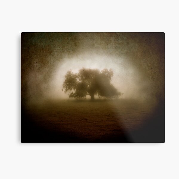 Solitude Metal Print