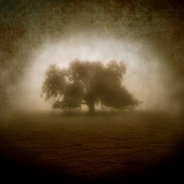Artwork thumbnail, Solitude by KatarinaSilva